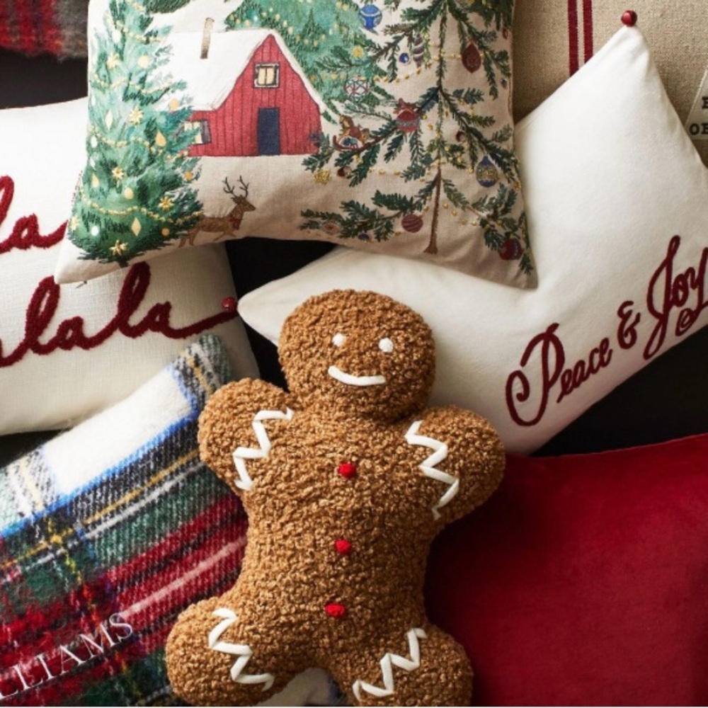 Pottery Barn Mr Spice Gingerbread pillow New in plastic - Picture 2 of 6